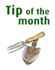 Tip of the month